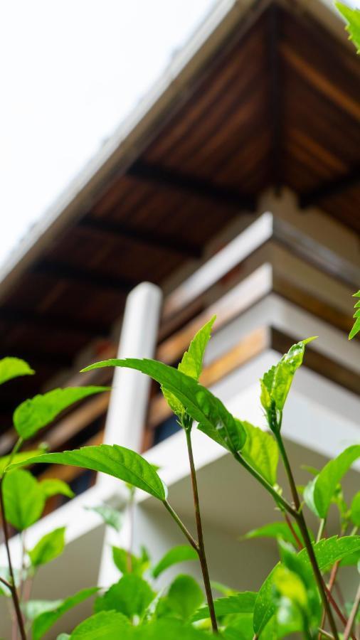 Hotel Luna Llena Tamarindo Eksteriør billede
